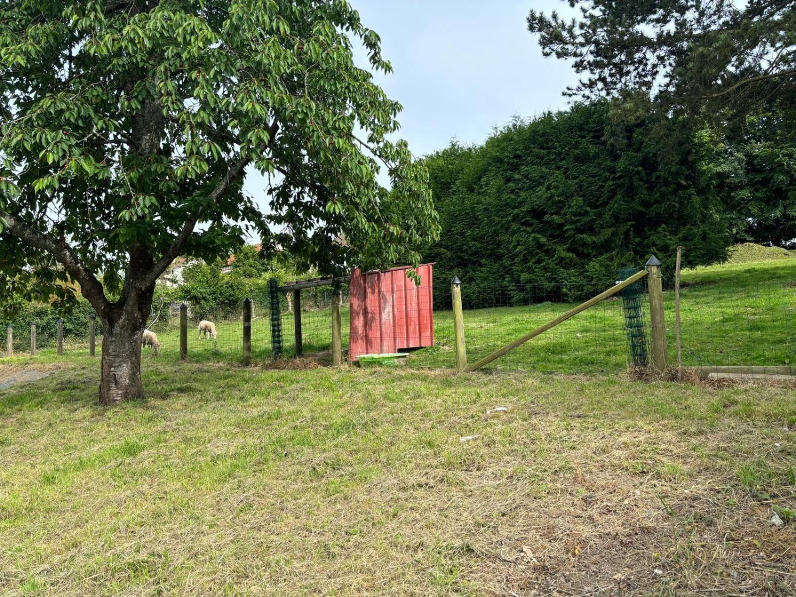 Maison A La Campagne Pour 7 Pers, Wifi Et Parking Aube (Orne) Exterior foto